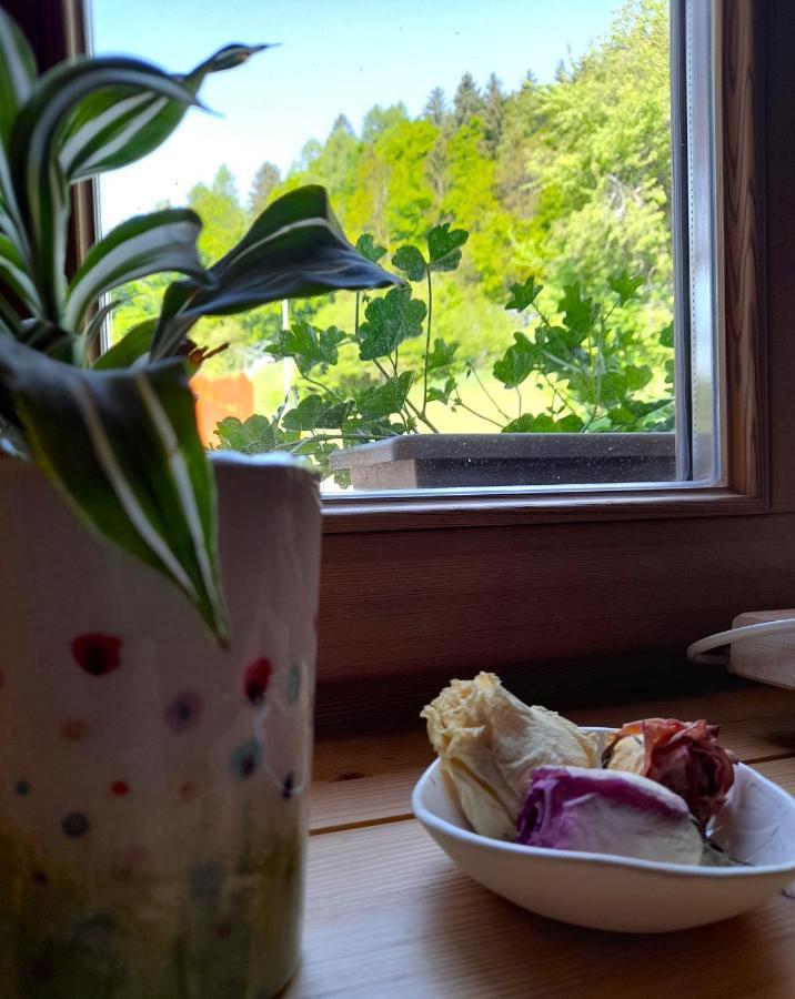 B&B Chalet Dolomiti Sant'Orsola Экстерьер фото