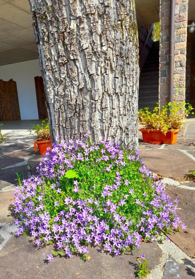 B&B Chalet Dolomiti Sant'Orsola Экстерьер фото